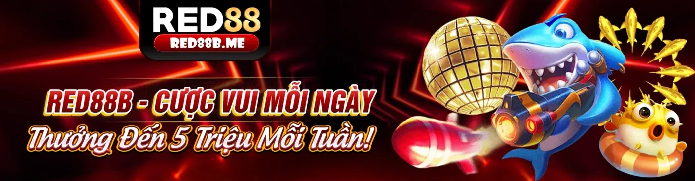 Khuyến mãi hấp dẫn tại roy bet club