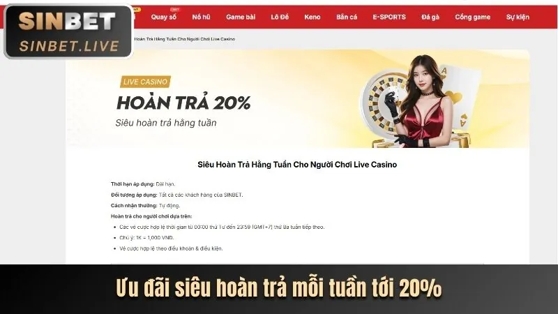 Sứ mệnh Roy Bet Club